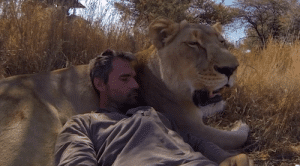 animal communicator kevin richardson with lion