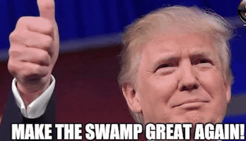 trump cabinet picks make the swamp great again