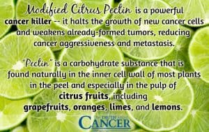natural cancer treatments modified citrus pectin