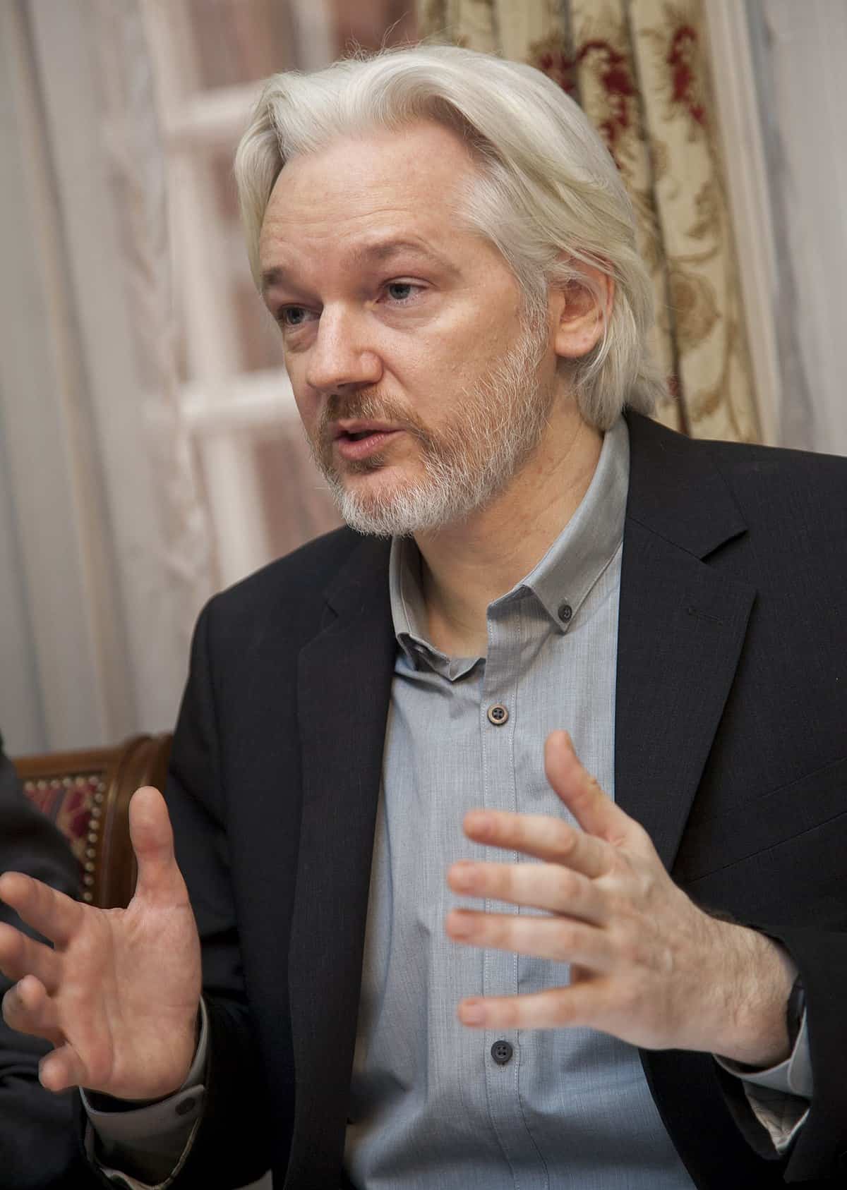 assange hearing day 8