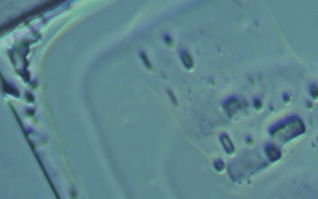 COVID vax nanotech